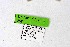 ( - DNAwthSatyrium258)  @11 [ ] Copyright (2023) Unspecified Unspecified