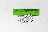 ( - DNAwthSatyrium297)  @11 [ ] Copyright (2023) Unspecified Unspecified