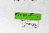  ( - DNAwthSatyrium306)  @11 [ ] Copyright (2023) Unspecified Unspecified