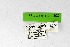  ( - DNAwthSatyrium308)  @11 [ ] Copyright (2023) Unspecified Unspecified
