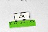  ( - DNAwthSatyrium312)  @11 [ ] Copyright (2023) Unspecified Unspecified