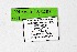  ( - DNAwthTarucus033)  @11 [ ] Copyright (2023) Unspecified Unspecified