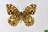  ( - DNAwthChazara030)  @11 [ ] Copyright (2024) Wolfgang ten Hagen Unspecified