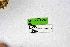  ( - DNAwthChazara032)  @11 [ ] Copyright (2024) Wolfgang ten Hagen Unspecified