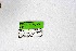  ( - DNAwthChazara033)  @11 [ ] Copyright (2024) Wolfgang ten Hagen Unspecified