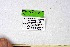  ( - DNAwthChazara034)  @11 [ ] Copyright (2024) Wolfgang ten Hagen Unspecified