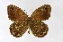  ( - DNAwthSatyrus004)  @11 [ ] Copyright (2024) Wolfgang ten Hagen Unspecified