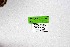  ( - DNAwthSatyrus005)  @11 [ ] Copyright (2024) Wolfgang ten Hagen Unspecified