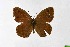  ( - DNAwthSatyrus008)  @11 [ ] Copyright (2024) Wolfgang ten Hagen Unspecified