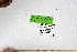  ( - DNAwthSatyrus012)  @11 [ ] Copyright (2024) Wolfgang ten Hagen Unspecified