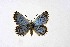  ( - DNAwthPseudop001)  @11 [ ] Copyright (2024) Wolfgang ten Hagen Unspecified
