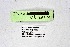  ( - DNAwthPseudop001)  @11 [ ] Copyright (2024) Wolfgang ten Hagen Unspecified