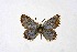  ( - DNAwthPseudop002)  @11 [ ] Copyright (2024) Wolfgang ten Hagen Unspecified
