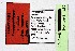  ( - DNAwthPseudop002)  @11 [ ] Copyright (2024) Wolfgang ten Hagen Unspecified