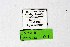  ( - DNAwthTuranana001)  @11 [ ] copyright (2024) Wolfgang ten Hagen Unspecified
