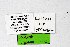  ( - DNAwthTuranana002)  @11 [ ] copyright (2024) Wolfgang ten Hagen Unspecified