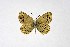  ( - DNAwthTuranana004)  @11 [ ] copyright (2024) Wolfgang ten Hagen Unspecified