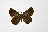  ( - DNAwthTuranana005)  @11 [ ] copyright (2024) Wolfgang ten Hagen Unspecified