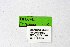  ( - DNAwthTuranana008)  @11 [ ] copyright (2024) Wolfgang ten Hagen Unspecified