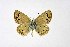  ( - DNAwthTuranana009)  @11 [ ] copyright (2024) Wolfgang ten Hagen Unspecified