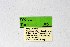  ( - DNAwthTuranana009)  @11 [ ] copyright (2024) Wolfgang ten Hagen Unspecified