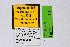  ( - DNAwthTuranana010)  @11 [ ] copyright (2024) Wolfgang ten Hagen Unspecified