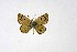  ( - DNAwthTuranana011)  @11 [ ] copyright (2024) Wolfgang ten Hagen Unspecified