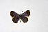  ( - DNAwthTuranana012)  @11 [ ] copyright (2024) Wolfgang ten Hagen Unspecified