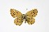  ( - DNAwthTuranana048)  @11 [ ] copyright (2024) Wolfgang ten Hagen Unspecified