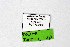  ( - DNAwthTuranana049)  @11 [ ] copyright (2024) Wolfgang ten Hagen Unspecified