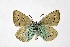  ( - DNAwthNeolysandra013)  @11 [ ] Copyright (2024) Wolfgang ten Hagen Unspecified