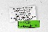  ( - DNAwthNeolysandra013)  @11 [ ] Copyright (2024) Wolfgang ten Hagen Unspecified