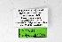  ( - DNAwthNeolysandra014)  @11 [ ] Copyright (2024) Wolfgang ten Hagen Unspecified