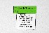  ( - DNAwthTarucus050)  @11 [ ] Copyright (2024) Wolfgang ten Hagen Unspecified