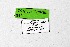  ( - DNAwthTarucus052)  @11 [ ] Copyright (2024) Wolfgang ten Hagen Unspecified