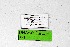  ( - DNAwthTarucus053)  @11 [ ] Copyright (2024) Wolfgang ten Hagen Unspecified