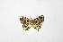  ( - DNAwthTarucus082)  @11 [ ] Copyright (2024) Wolfgang ten Hagen Unspecified