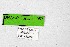  ( - DNAwthTarucus082)  @11 [ ] Copyright (2024) Wolfgang ten Hagen Unspecified