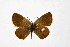  ( - DNAwthTuranana075)  @11 [ ] Copyright (2024) Wolfgang ten Hagen Unspecified