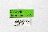  ( - DNAwthTuranana075)  @11 [ ] Copyright (2024) Wolfgang ten Hagen Unspecified