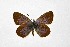 ( - DNAwthTuranana076)  @11 [ ] Copyright (2024) Wolfgang ten Hagen Unspecified