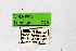  ( - DNAwthTuranana076)  @11 [ ] Copyright (2024) Wolfgang ten Hagen Unspecified