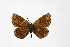  ( - DNAwthTuranana078)  @11 [ ] Copyright (2024) Wolfgang ten Hagen Unspecified