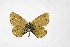  ( - DNAwthTuranana078)  @11 [ ] Copyright (2024) Wolfgang ten Hagen Unspecified