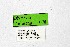  ( - DNAwthTuranana078)  @11 [ ] Copyright (2024) Wolfgang ten Hagen Unspecified