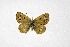  ( - DNAwthTuranana079)  @11 [ ] Copyright (2024) Wolfgang ten Hagen Unspecified