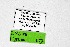  ( - DNAwthTuranana079)  @11 [ ] Copyright (2024) Wolfgang ten Hagen Unspecified