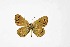  ( - DNAwthTuranana080)  @11 [ ] Copyright (2024) Wolfgang ten Hagen Unspecified