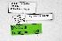  ( - DNAwthTuranana080)  @11 [ ] Copyright (2024) Wolfgang ten Hagen Unspecified
