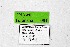  ( - DNAwthTuranana081)  @11 [ ] Copyright (2024) Wolfgang ten Hagen Unspecified